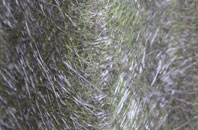 Ince fibreglass roof work