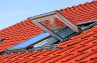 Ince roof window